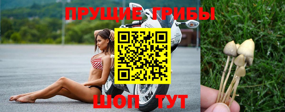 Галлюциногенные грибы ЛСД Дубна