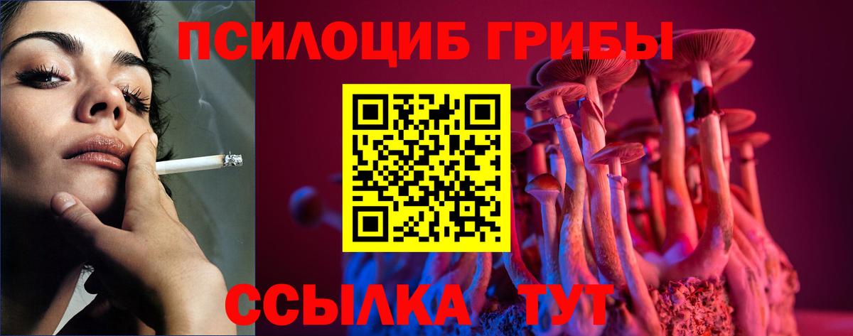 Псилоцибиновые грибы Psilocybe  Вход с VPN  наркота  Дубна  Галлюциногенные грибы Cubensis 